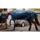 Bien transporter son cheval : les protections