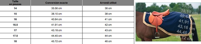 Comment choisir sa selle ? –